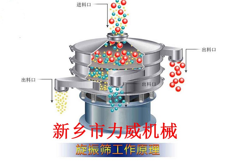 草莓粉旋振篩食品添加劑調味品圓形分目分級篩